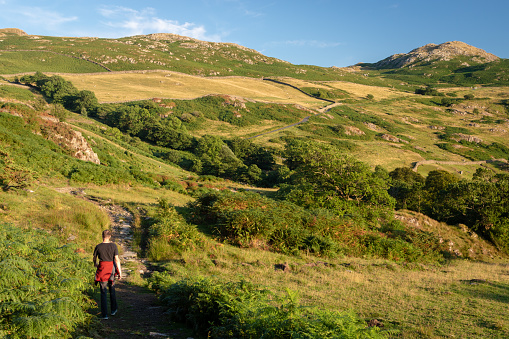 A man walking in beautiful English countryside in Duddon valley in Cumbria (UK) on a sunny evening