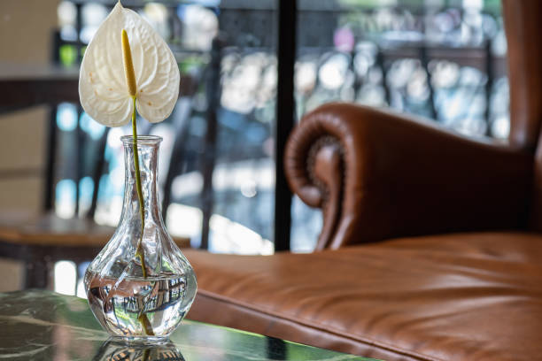 istock Anthurium flower in a crystal vase 1057538248