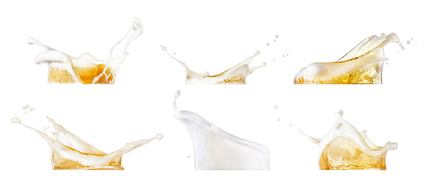 beer splashes collection isolated on white background