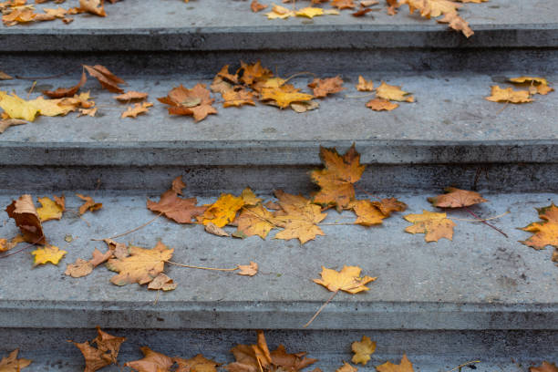 Stone grey steps in autumn park background stock photo