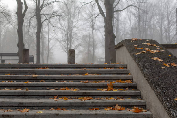 Stone steps in misty autumn park stock photo