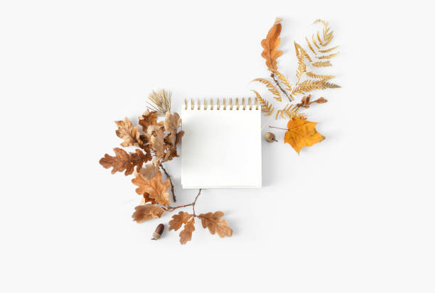 istock Top view dried leaves notebook blank pages white background Autumn fall flat lay 1057549490