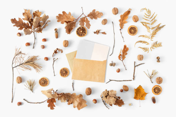 istock Top view dried leaves envelope blank card white background Autumn fall flat lay 1057550122