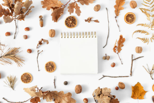 istock Top view dried leaves notebook text white background Autumn fall flat lay 1057550124