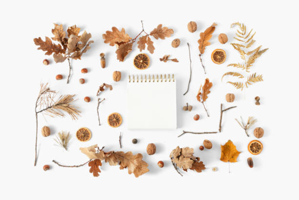 Top view dried leaves notebook text white background Autumn fall flat lay