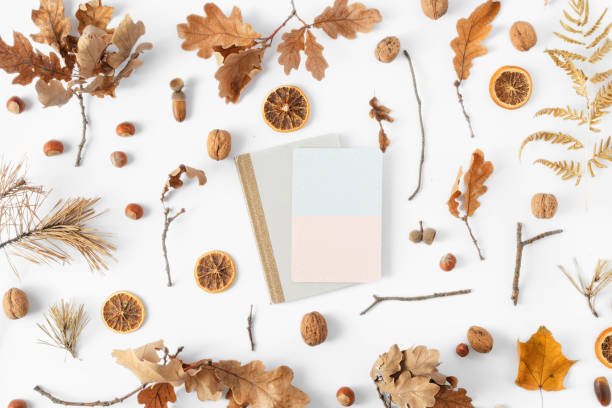 istock Top view dried leaves blank card white background Autumn fall flat lay 1057550350