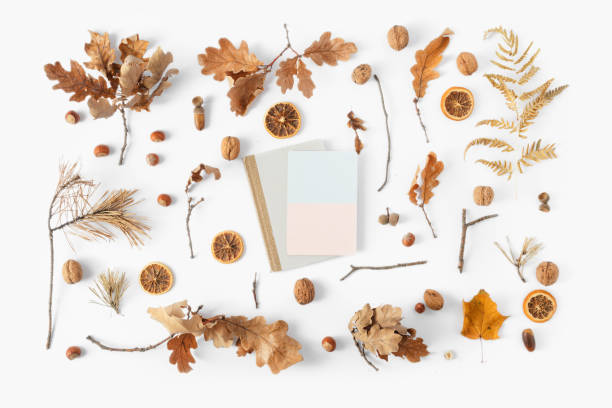 istock Top view dried leaves blank card white background Autumn fall flat lay 1057550352