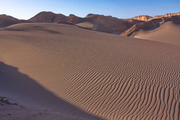 istock texture of sandy dunes in the desert 1057554504