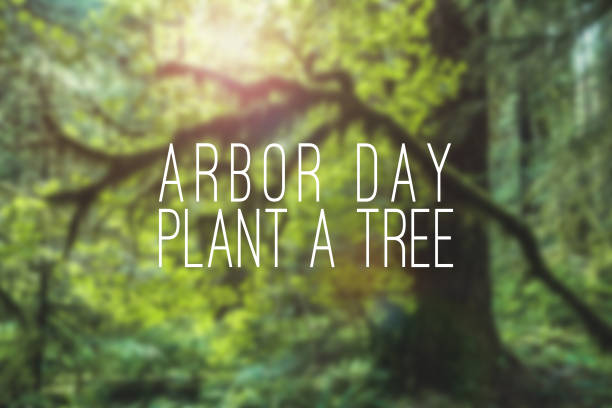 Arbor day Arbor Day plant a tree mockup with forest or trees or green natural blurry backdrop or background. Holiday event concept. Arbor Day stock pictures, royalty-free photos & images