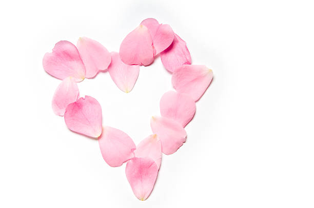 istock Heart of rose petals 105756597