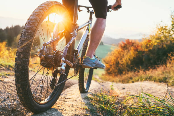 rowerzysta górski zjeżdża ze wzgórza. obraz koła z bliska. koncepcja aktywnego i sportowego wypoczynku - bicycle pedal zdjęcia i obrazy z banku zdjęć