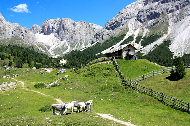 istock Landscape with the Odle mountains 105756703