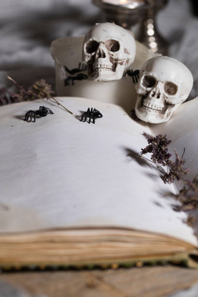 Happy Halloween! Scary background. Opened book of bewitchment with free space for a text. Bewitchment symbols - skulls, herbs, candles, spiders in the background. Gray colors dominance bewitchment stock pictures, royalty-free photos & images