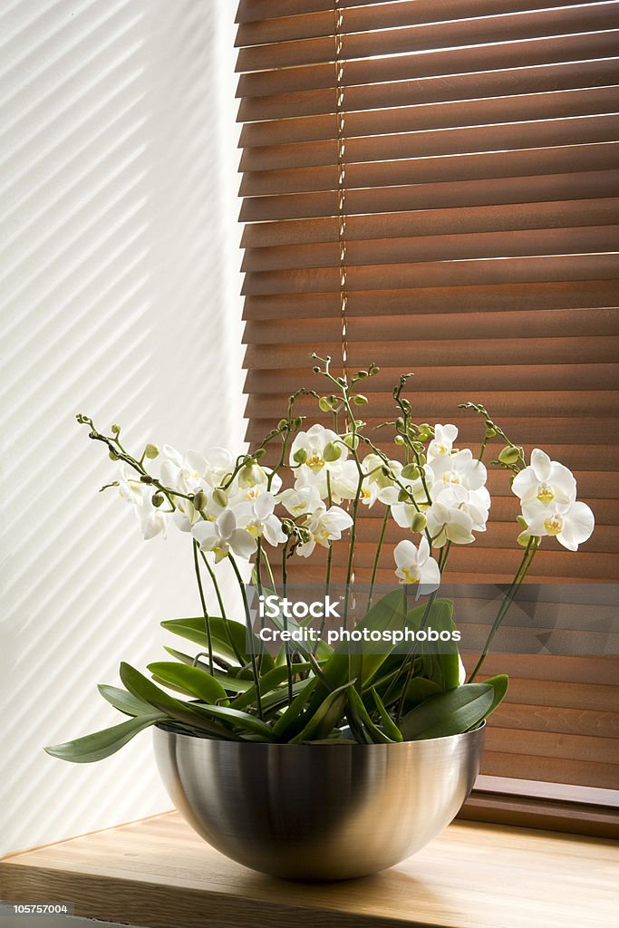 flowers on the windowsill flowers in vase  on the windowsill Beauty In Nature Stock Photo