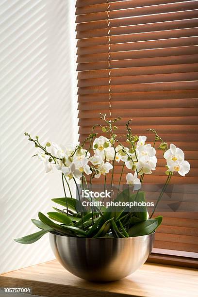 Flowers On The Windowsill Stock Photo - Download Image Now - Beauty In Nature, Blossom, Bouquet