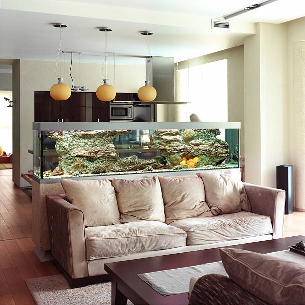 istock interior of living room 105757046