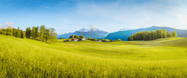 istock Idyllic landscape in the Alps with blooming meadows in springtime 1057574852