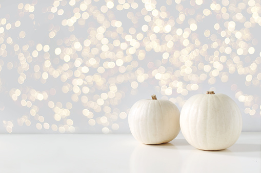 Modern autumn styled composition with white pumkins and golden sparkling bokeh lights. Halloween, Thanksgiving party concept, festive fall design.