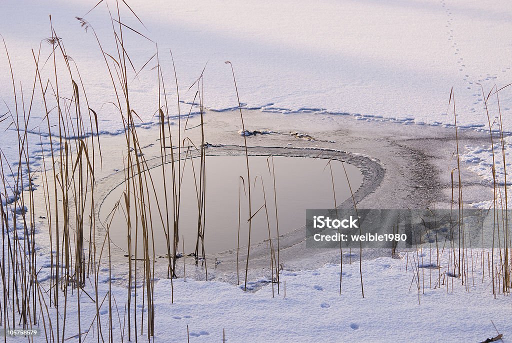 Gefrorenen Pond - Lizenzfrei Eingefroren Stock-Foto