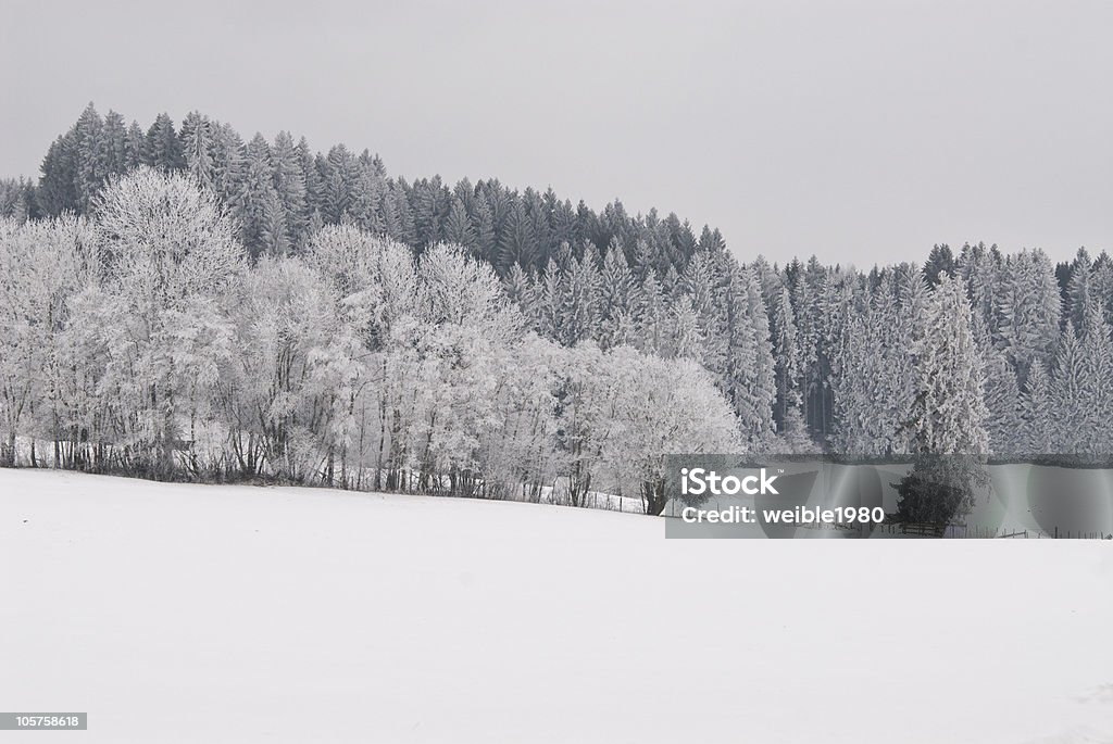 Winter - Lizenzfrei Anhöhe Stock-Foto