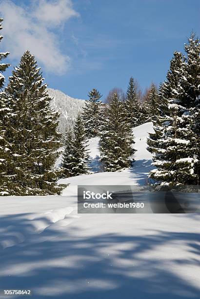 Winter Forest Stockfoto und mehr Bilder von Ast - Pflanzenbestandteil - Ast - Pflanzenbestandteil, Baum, Berg