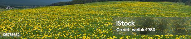 Frühling Blumen Feld Stockfoto und mehr Bilder von Agrarbetrieb - Agrarbetrieb, Bildhintergrund, Blatt - Pflanzenbestandteile
