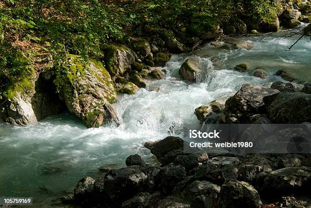 River In Einem Dunklen Wald Stockfoto und mehr Bilder von Bach - Bach, Baum, Berg