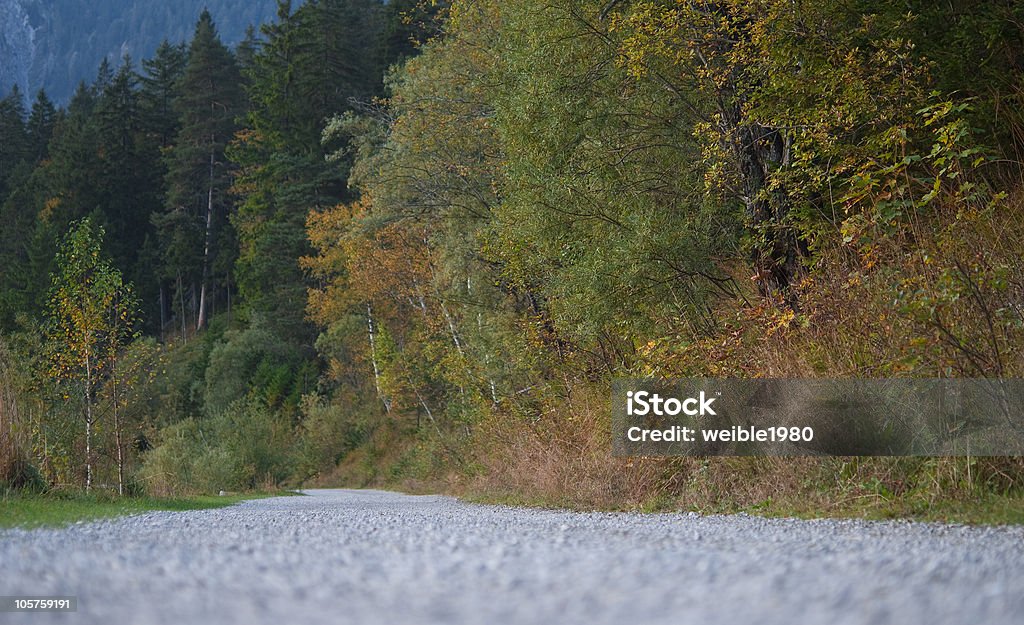 Straße in der Nähe von forest - Lizenzfrei Baum Stock-Foto