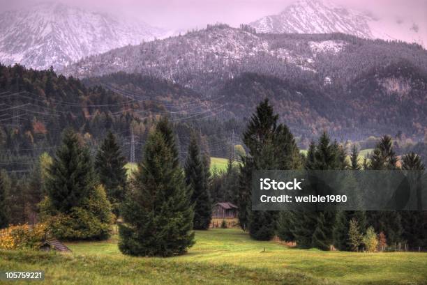 Hdr Aufnahme Green Forest White Snow Hintergrund Stockfoto und mehr Bilder von Alm - Alm, Baum, Berg