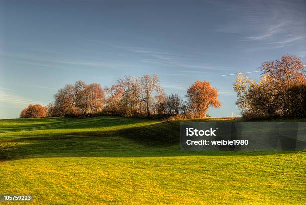 Herbst Field Stockfoto und mehr Bilder von Allgäu - Allgäu, Anhöhe, Ast - Pflanzenbestandteil