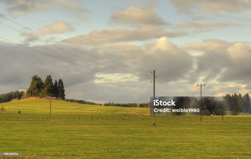 Der Powerline über ein Feld - Lizenzfrei Anhöhe Stock-Foto