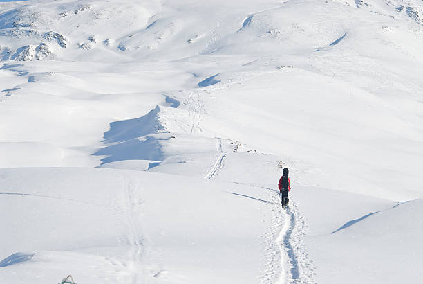istock Lonely Snowboarder on the mountain 105759346