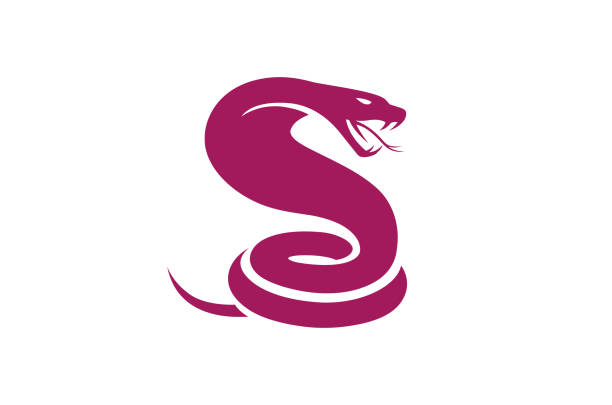 творческий фиолетовый король кобра логотип - cobra snake poisonous organism reptiles stock illustrations