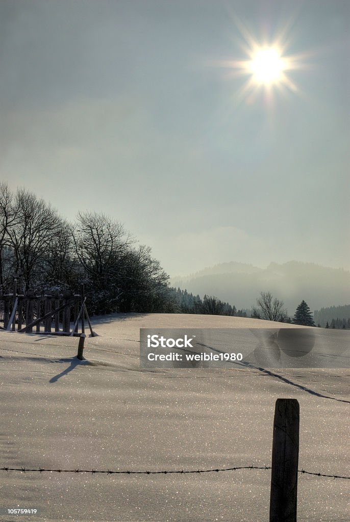 Winter Sunshine - Lizenzfrei Anhöhe Stock-Foto