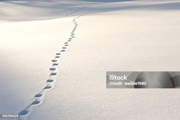 Spuren In Den Schnee Stockfoto und mehr Bilder von Schnee - Schnee, Schuhabdruck, Anhöhe