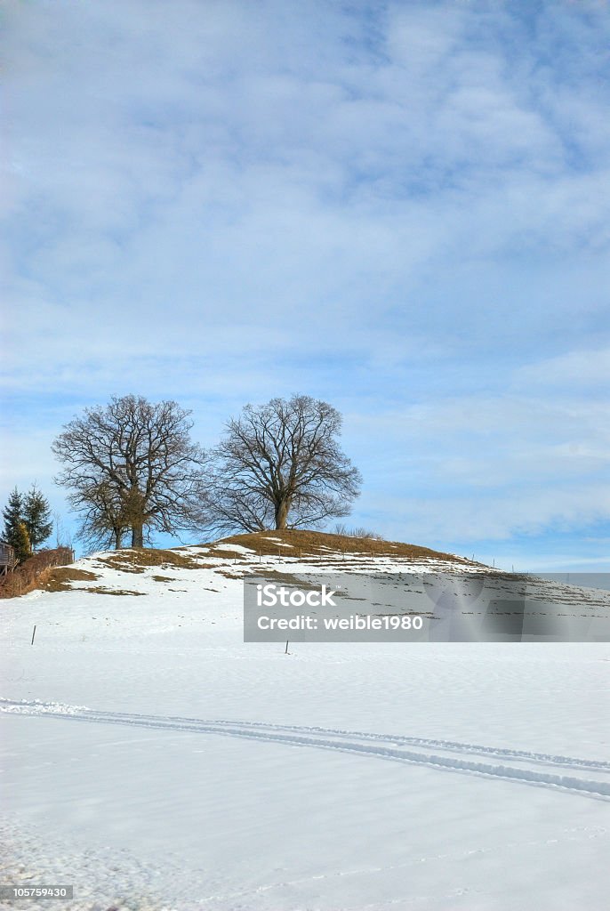 Bäume auf Hügel-Blauer Himmel Hintergrund - Lizenzfrei Anhöhe Stock-Foto