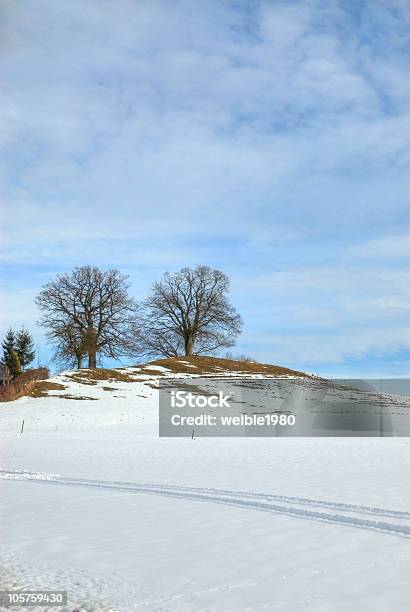 Bäume Auf Hügelblauer Himmel Hintergrund Stockfoto und mehr Bilder von Anhöhe - Anhöhe, Ast - Pflanzenbestandteil, Baum