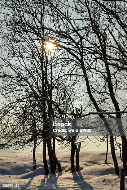 Winterbäume Stockfoto und mehr Bilder von Anhöhe - Anhöhe, Ast - Pflanzenbestandteil, Baum