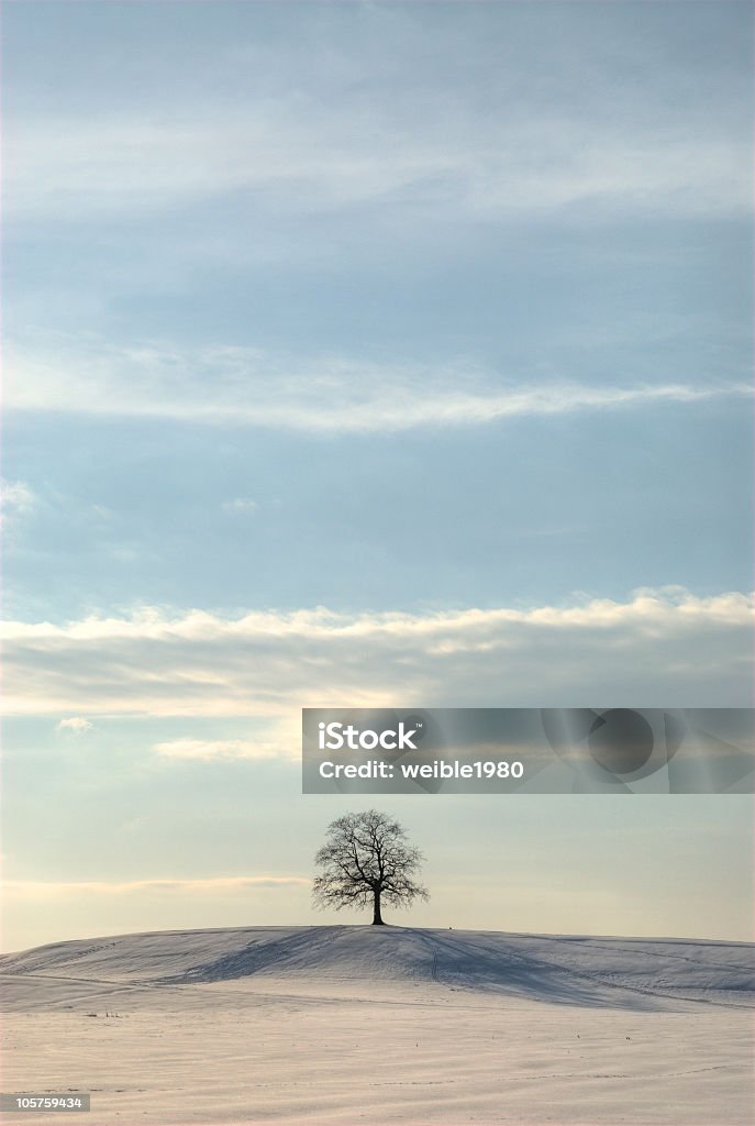 Einsame Baum in der Mitte auf dem snow hill - Lizenzfrei Frost Stock-Foto