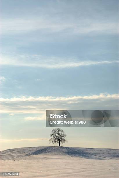 孤独な木の中央にはスノーヒル - 小枝のストックフォトや画像を多数ご用意 - 小枝, 霜, からっぽ
