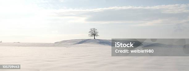 Ein Baum Mitten In Einem Schneebedeckten Feld Stockfoto und mehr Bilder von Amerikanische Linde - Amerikanische Linde, Schneefeld, Winter