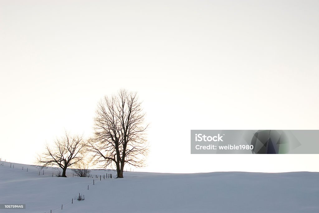 Duas árvores de inverno - Royalty-free Amanhecer Foto de stock