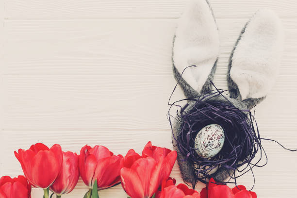 bunny ears and stylish egg in nest and tulips on white wooden background flat lay. space for text. creative spring easter image. season's greeting card mock-up. happy easter concept ponen orejas de conejo y huevo con estilo en nido y tulipanes sobre fondo blanco de madera plana. espacio para texto. imagen de la pascua de primavera creativa. maqueta de la tarjeta de felicitación de la temporada. concepto de pascua feliz
