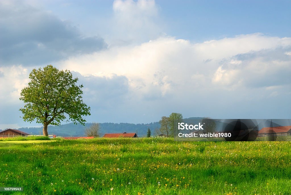 Sommer-Feld mit roten Dach - Lizenzfrei Agrarbetrieb Stock-Foto