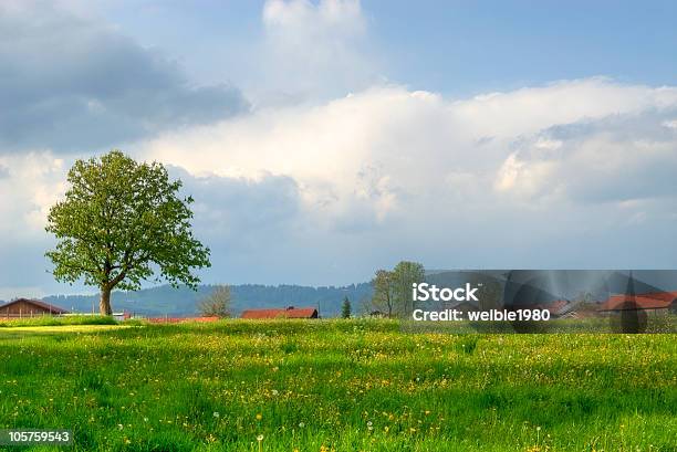 Sommerfeld Mit Roten Dach Stockfoto und mehr Bilder von Agrarbetrieb - Agrarbetrieb, Ast - Pflanzenbestandteil, Bauernhaus