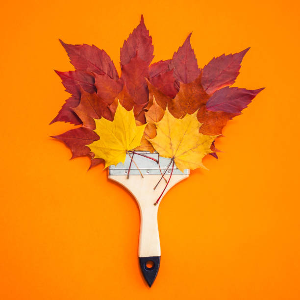 istock Paint brush with dry bright autumn leaves concept 1057597724