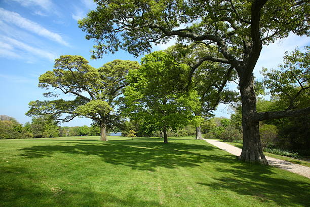 Well kept grass field and a few trees in a park.