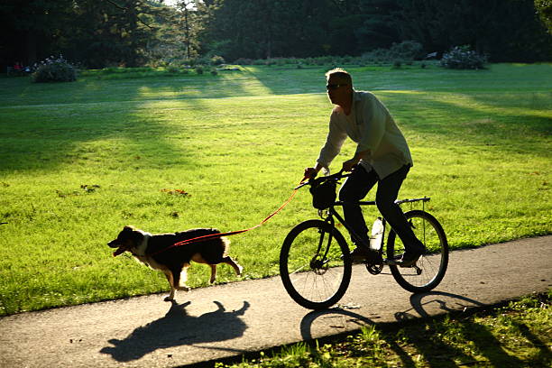 Silhouetted Cyclist And Dog stock photo