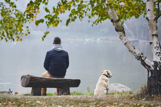 istock Man with dog in autumn nature 1057602786