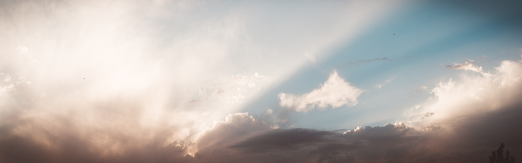 Summer landscape, bright rays of the sun from behind the crowns of trees illuminate the sky and clouds.